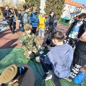 Obrázek v galerii