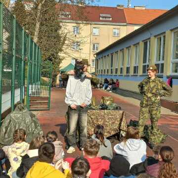 Obrázek v galerii