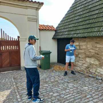 Obrázek v galerii