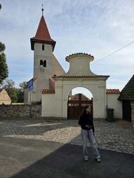 Obrázek v galerii