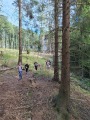 Obrázek v galerii