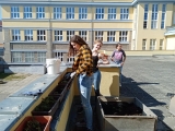 práce s původními rostlinami na terase