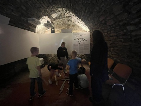 Obrázek v galerii