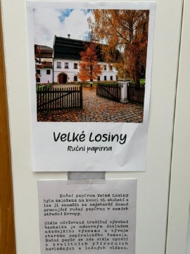 Obrázek v galerii