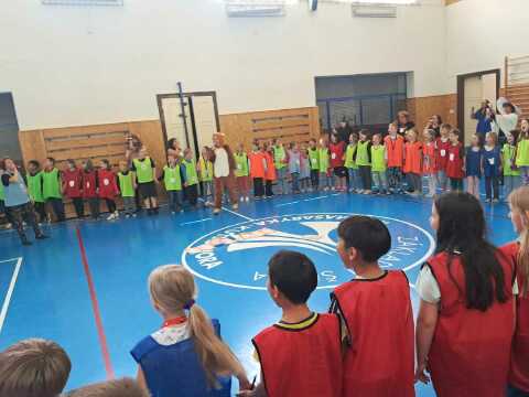 Obrázek v galerii