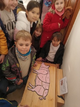 Obrázek v galerii