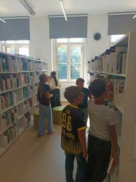 Obrázek v galerii
