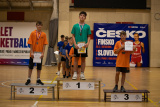 Obrázek v galerii