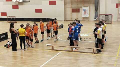 Obrázek v galerii