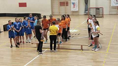 Obrázek v galerii