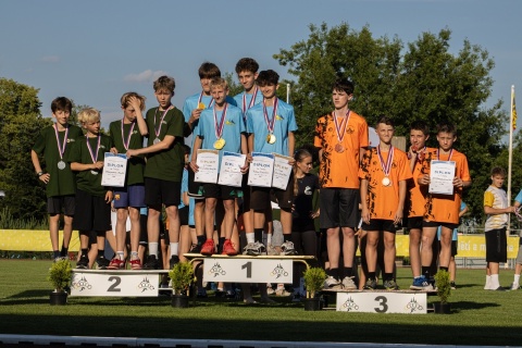 Obrázek v galerii