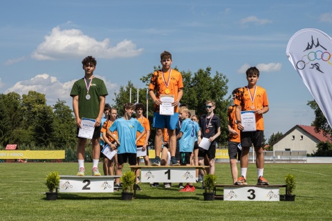 Obrázek v galerii
