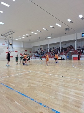 Obrázek v galerii