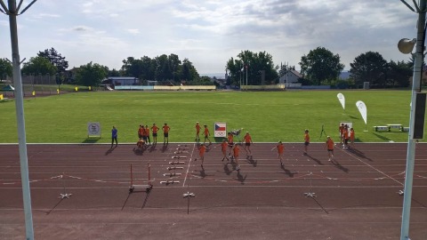 Obrázek v galerii