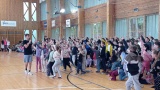 Obrázek v galerii