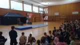 Obrázek v galerii