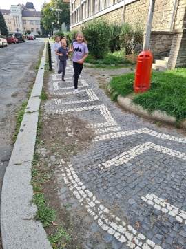 Obrázek v galerii