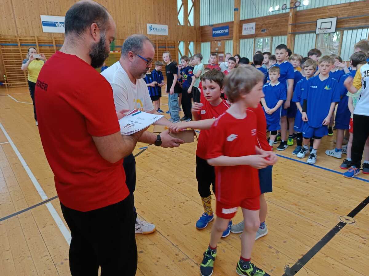 Stříbro v miniházené