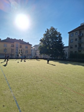 Obrázek v galerii
