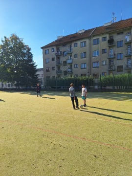 Obrázek v galerii