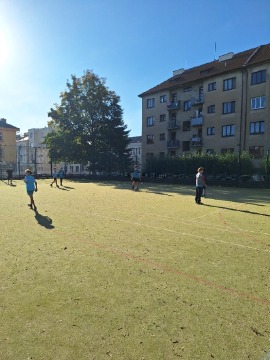 Obrázek v galerii