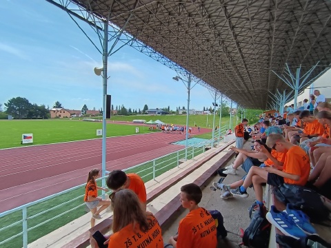 Obrázek v galerii