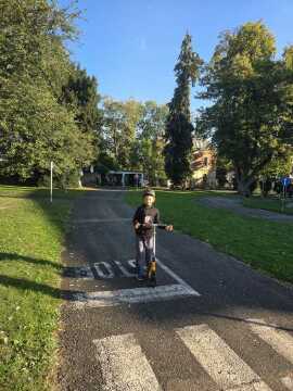 Obrázek v galerii