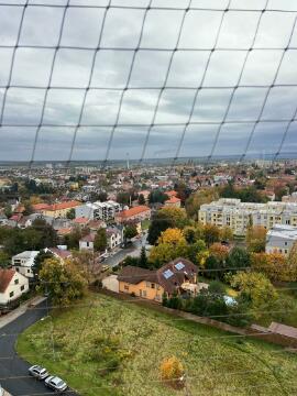 Obrázek v galerii