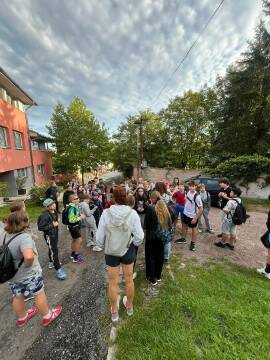 Obrázek v galerii