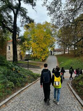 Obrázek v galerii