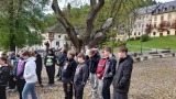 Obrázek v galerii