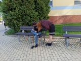 Obrázek v galerii