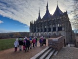 Obrázek v galerii