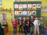 Obrázek v galerii