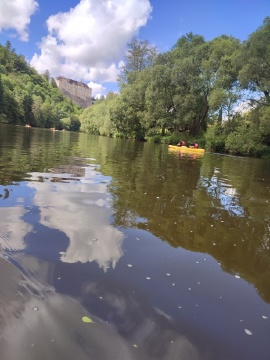 Obrázek v galerii