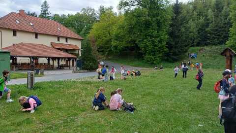 Obrázek v galerii